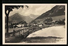 AK Chateau-d'Oex, Vue Générale, 1927