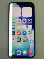 iPhone 13 Pro / 1.02 TB / Display DEFEKT