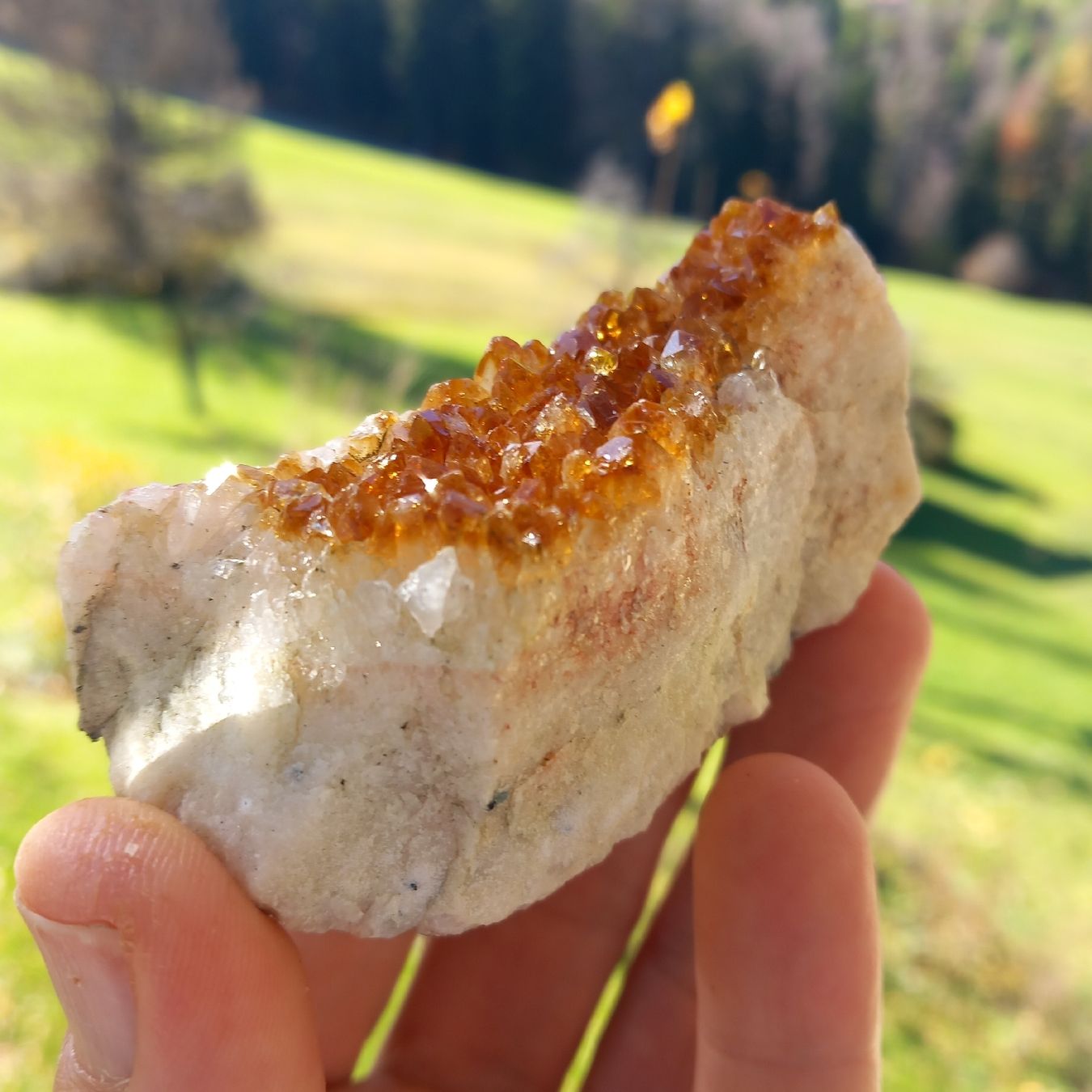 Pietre preziose: Citrin Quarz Druse Edelstein 177g – Usato da Ebnat-Kappel venduto da blazzi 1