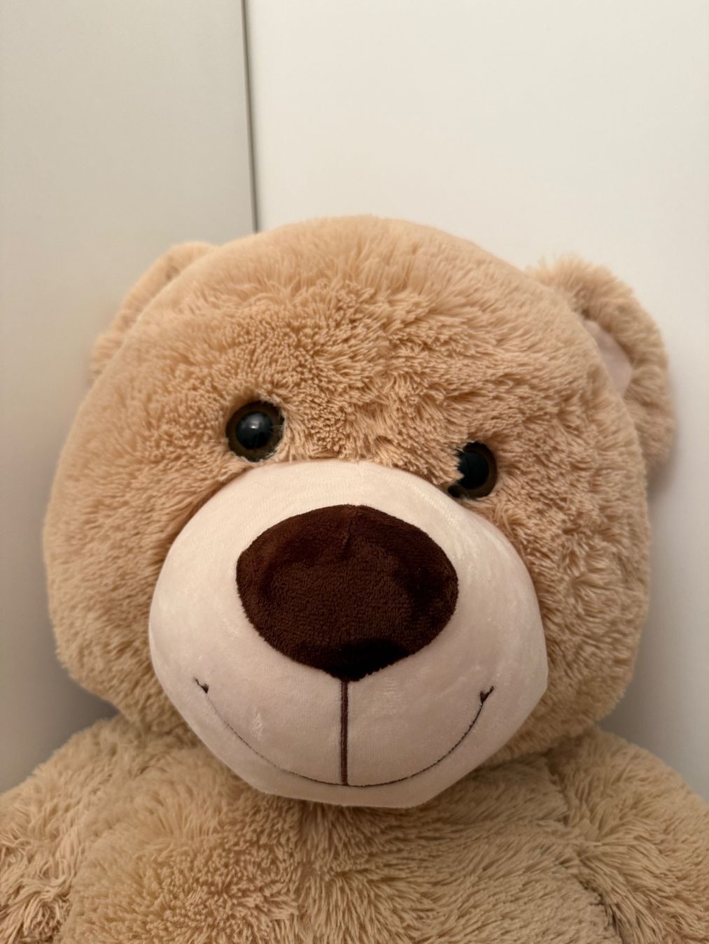 Giocattoli: 100cm riesiger Teddybär  (Kuscheltier) – Nuovo (secondo la descrizione) da Twann venduto da SchniderL 2