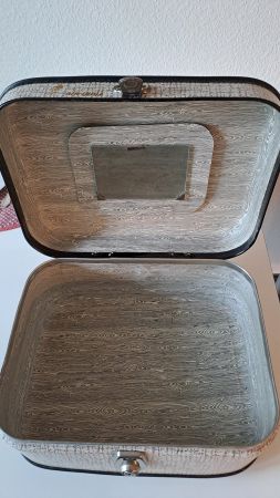 Antikes Beauty Case v. Air India
