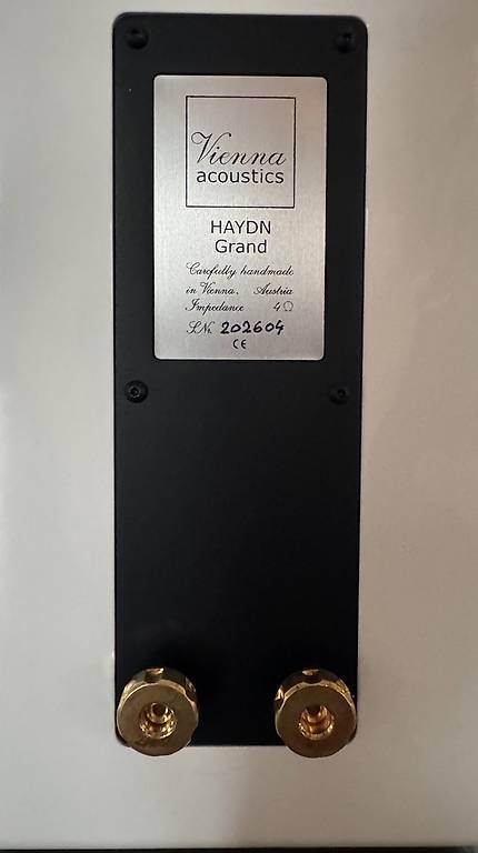 Casse acustiche: Vienna Acoustics Haydn Grand Lautsprecher Boxen – Usato da Pfäffikon ZH venduto da H.D.5.5. 4