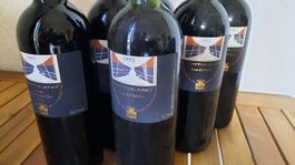 Portulano Salento Rosso Jahrgang 1993, 1997 1 Flasche