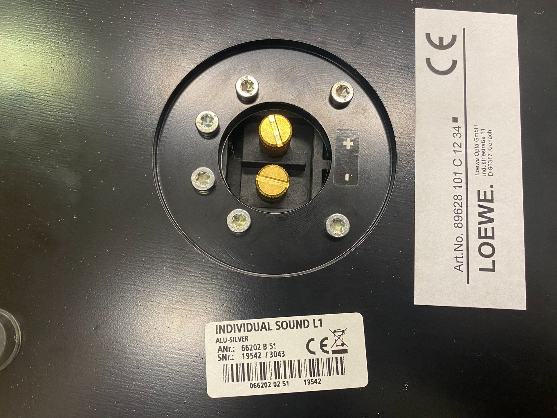 Loewe Casse acustiche: Loewe Lautsprecher System – Usato da Hochdorf venduto da av-electronics 4