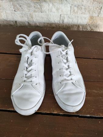 Lacoste Schuhe 36