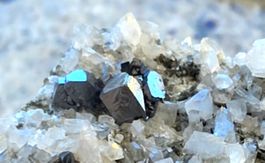 Mineral: Magnetit Kristalle in bester Qualität. Hochglanz!