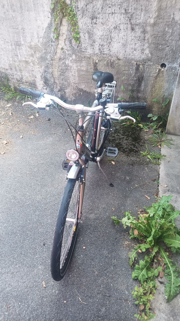 Biciclette: Herrenvelo zu verkaufen – Usato da Wattenwil venduto da baumgartnerluk99 6