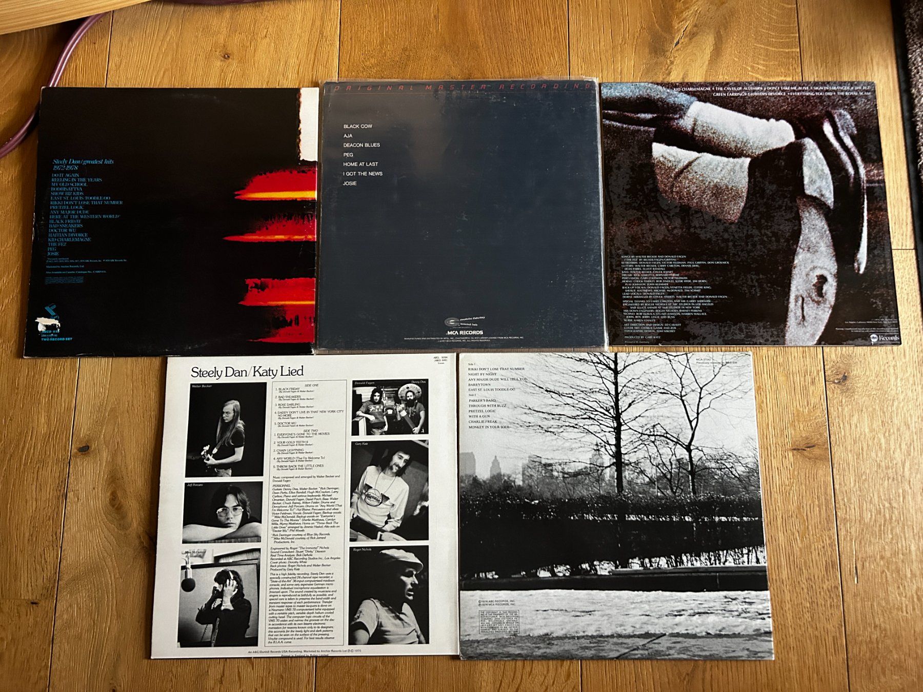 Dischi in vinile: LP Vinyl Steely Dan Sammlung 5 Alben, MFSL – Usato da Steinach venduto da Jaguare1961 1