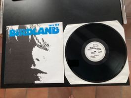 Birdland - Hollow Heart