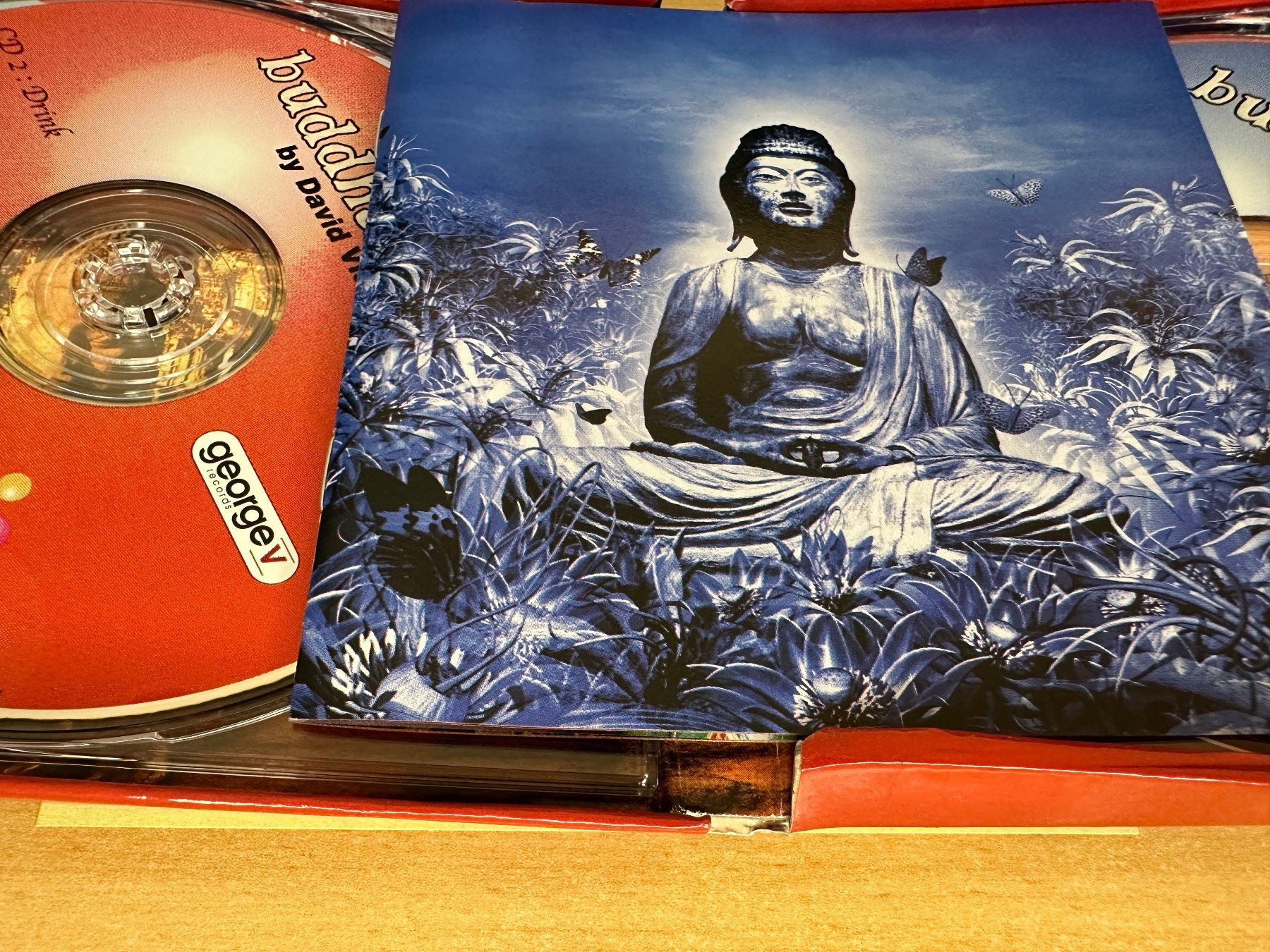 CD: David Visan – Buddha-Bar V - 2 CD – Usato da Rikon im Tösstal venduto da Alpenmutz 2