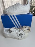 Adidas Superstar Gr. 38 DIY Raw neu! OVP