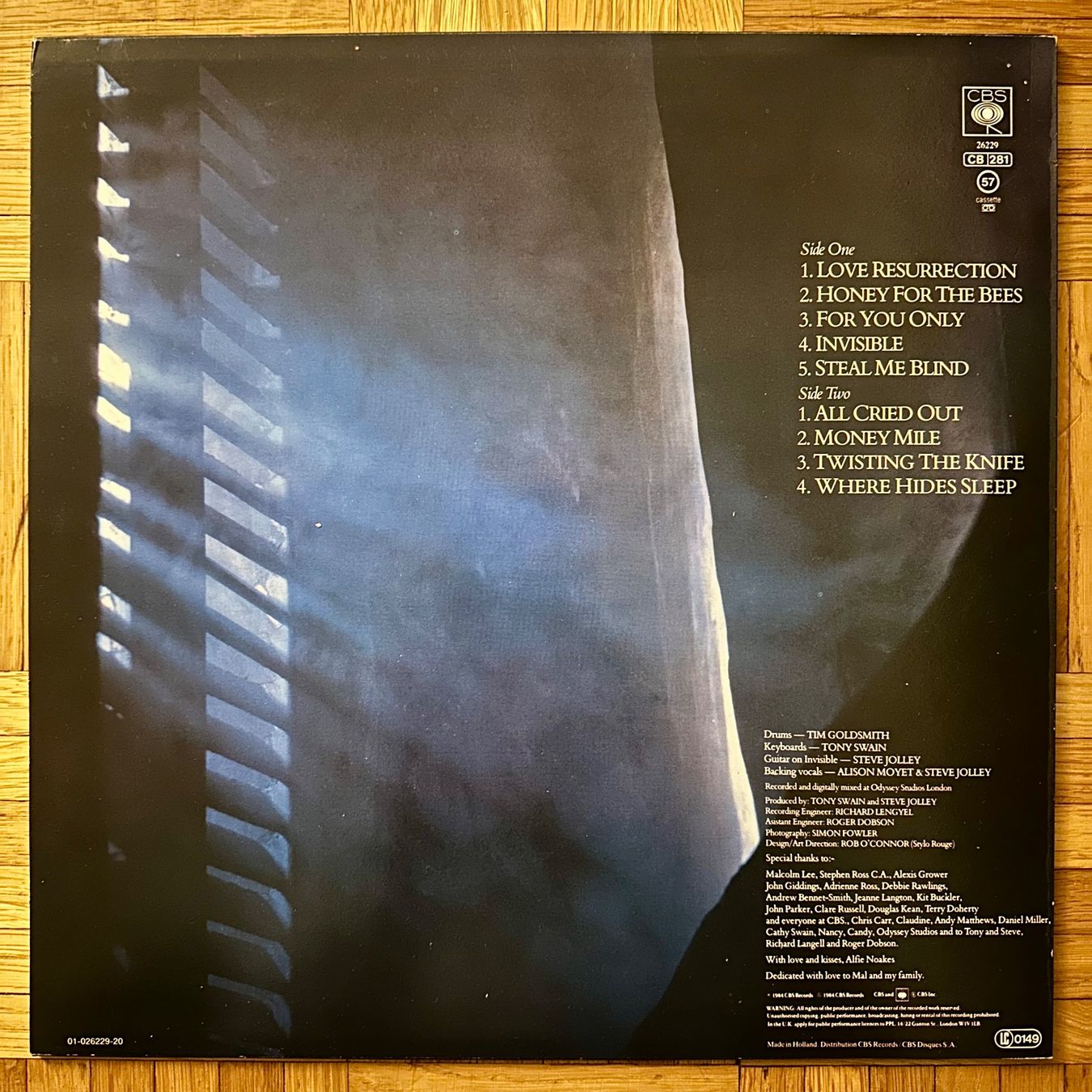 Dischi in vinile: LP - Alison Moyet - Alf – Usato da Breganzona venduto da Onairda75 1