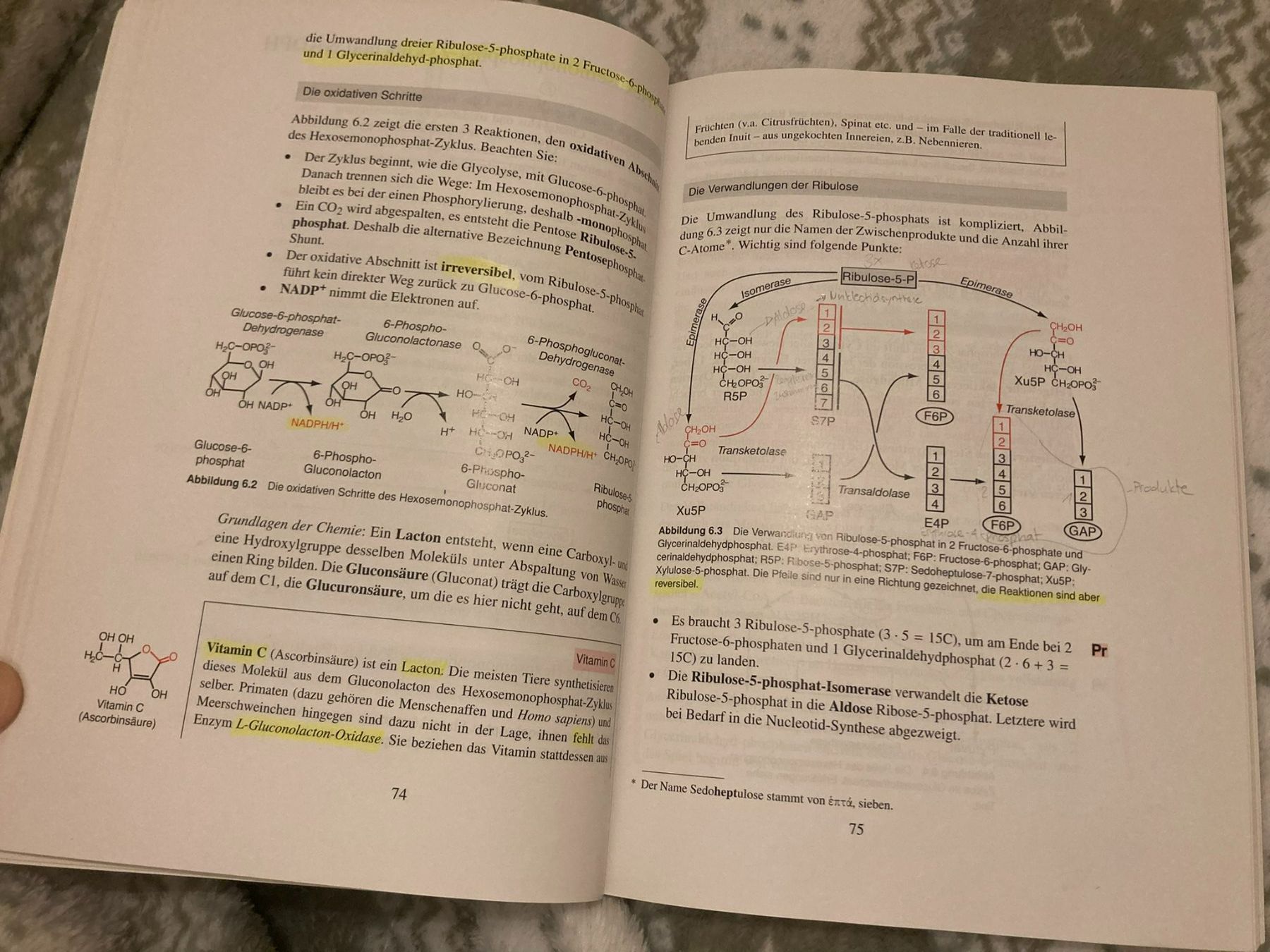 Libri: Repetitorium Biochemie – Usato da Niederscherli venduto da ypsilon315 2