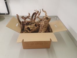 Kork Höhlen Röhren Holz Gecko Reptilien Heizung Deko