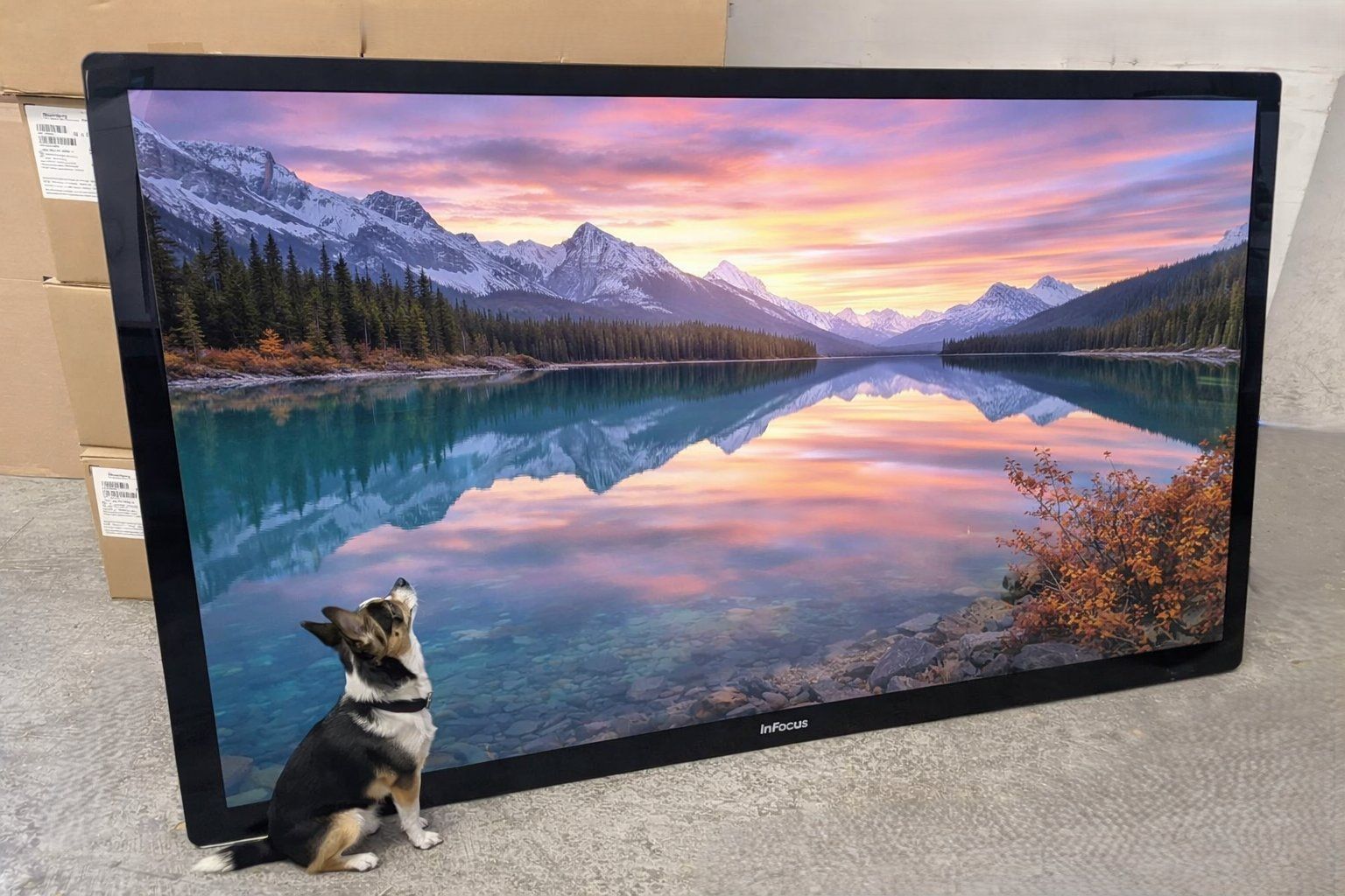 PC: Riesiger 4K 70 Zoll AIO: Intel I7, Touchscreen, SSD, Win 11 – Usato da Olten venduto da sil_wl5t