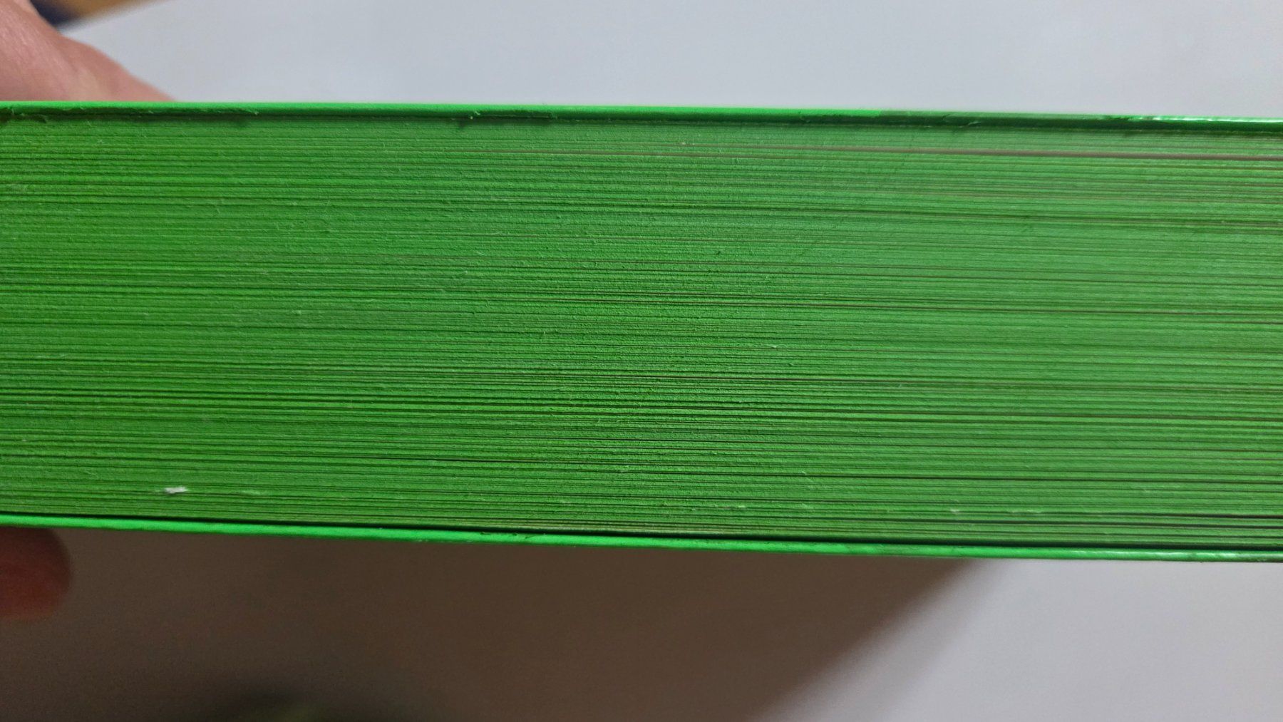 Libri: Freida McFadden Die Ehefrau mit Farbschnitt – Usato da Weggis venduto da Leeclipse 2