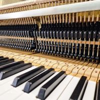NEUHEIT für Ihr Klavier: 'Claverti' Mechanik inkl. Einbau