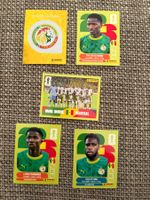 FIFA WM 2026 Panini SEN 1 / 10 / 13 / 14 / 15