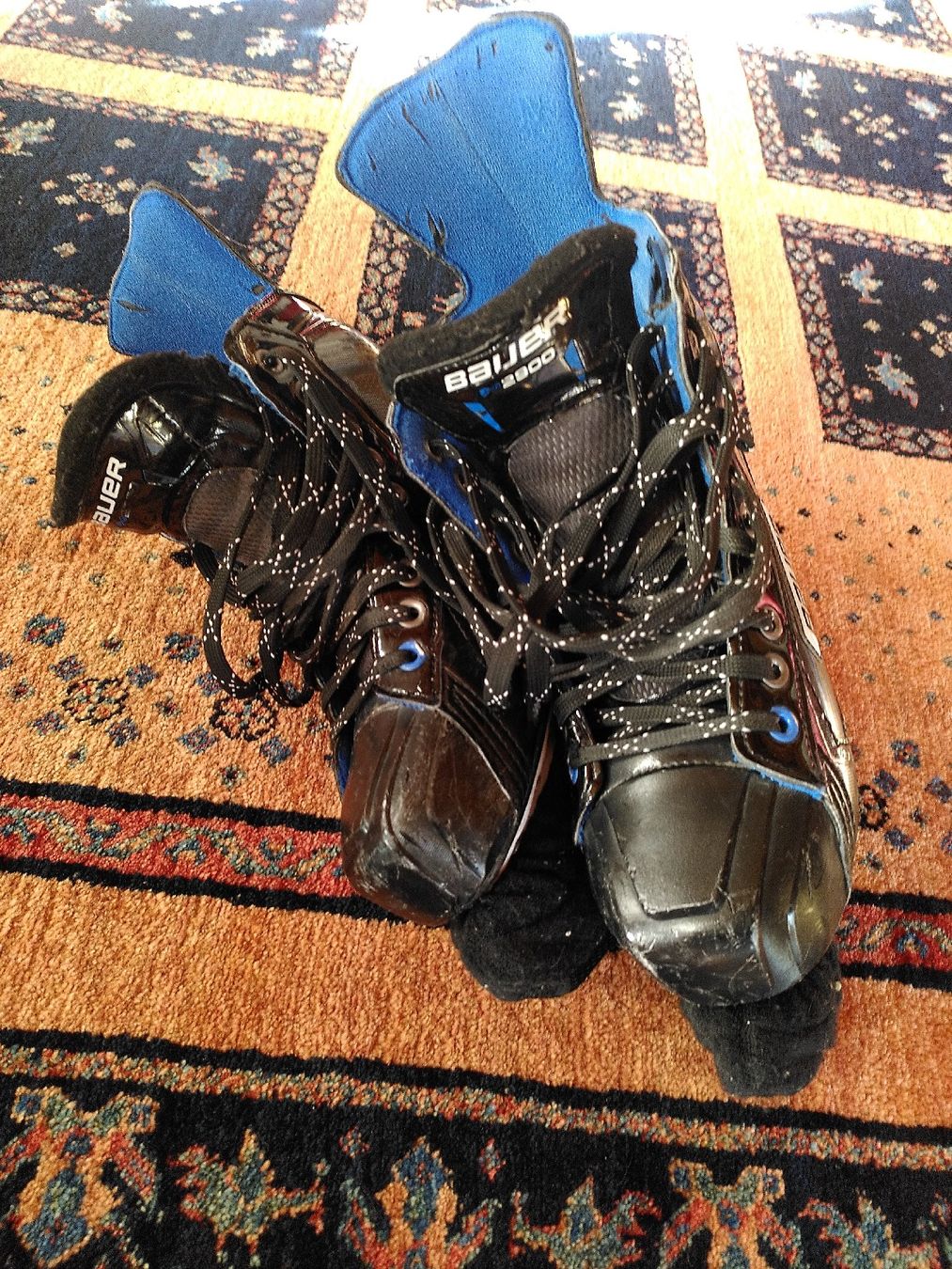 Bauer Pattini da ghiaccio: Bauer Nexus Schuhe – Usato da Richterswil venduto da sil_lm7x