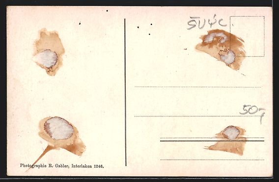 Cartoline postali: Interlaken, Hotel Viktoria mit Jungfrau – Usato da Berlin venduto da bartko-reher 1