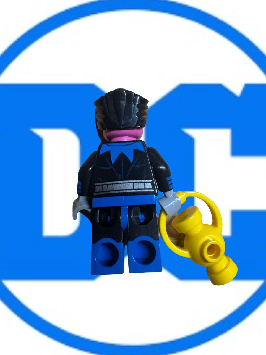 Lego Statuette: Lego Dc Sinestro colsh05 – Usato da Wetzikon ZH venduto da the-collector91 1