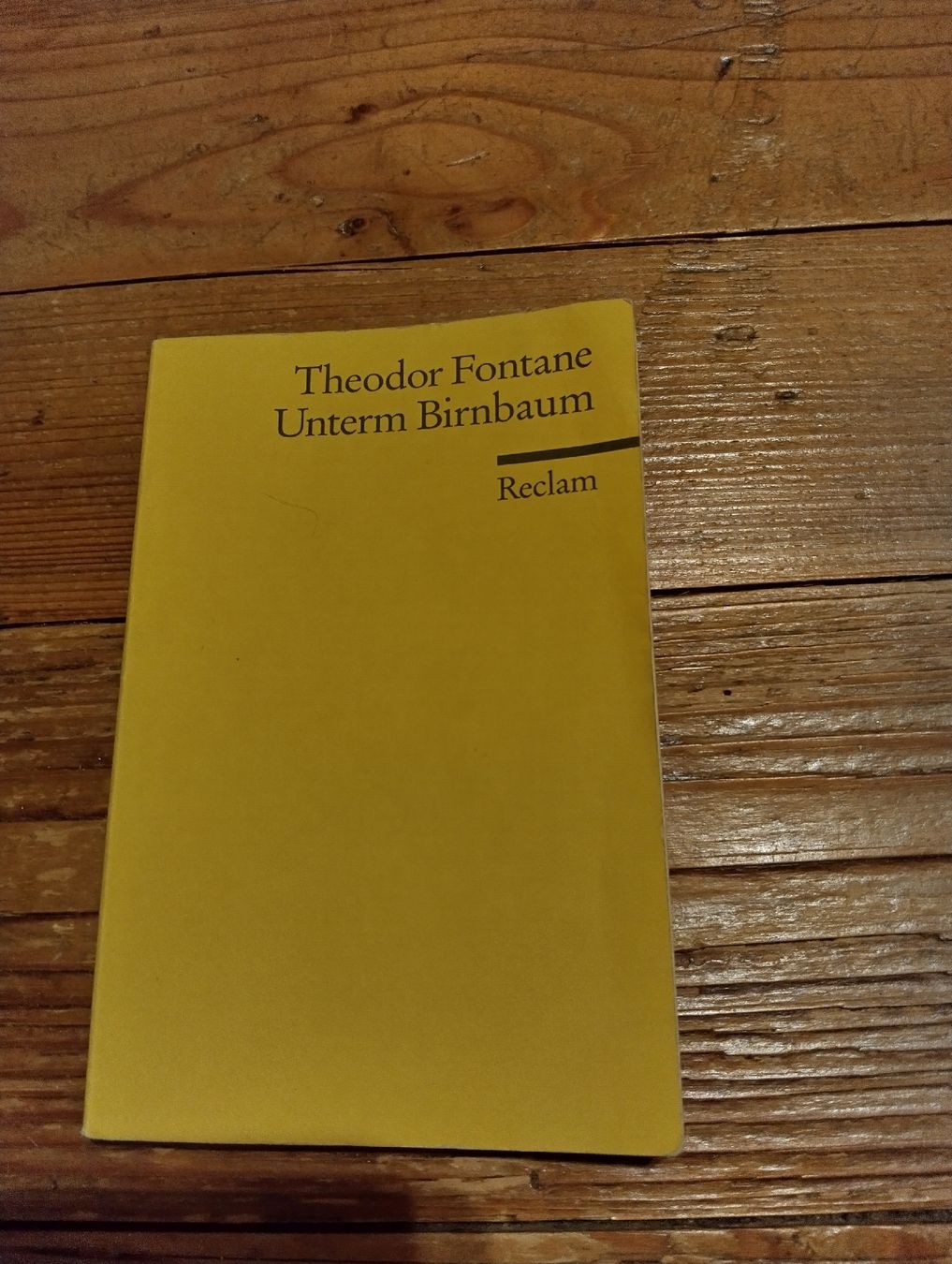 Libri: Unterm Birnbaum - Theodor Fontane – Usato da Rüedisbach venduto da aendu010
