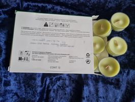 PartyLite - 12 Teelichter Lemon + Tea Tree - Fresh Home