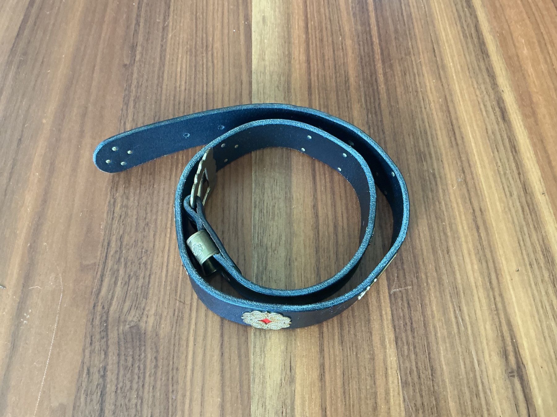 Altro per bambini: Appenzeller Gurt 80cm – Usato da Waldkirch venduto da Blondie13 3