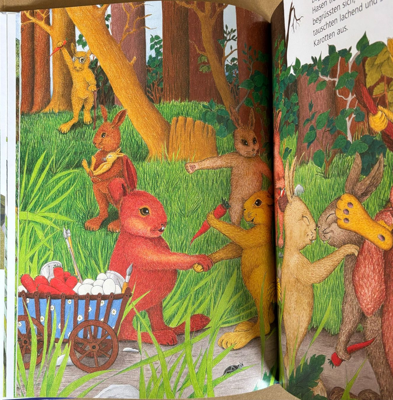 Bücher: Was versteckst du, kleiner Hase? – Neu und originalverpackt aus Sarnen von Livres 4