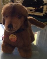 Steiff Knopf Dackel weich alt 4142/12 Hexie top mit Etikett!