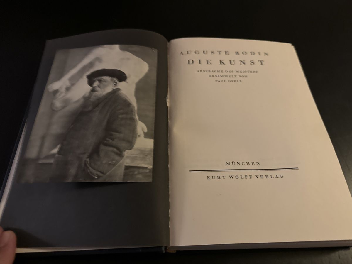 Bücher: August Rodin - Die Kunst – Gebraucht aus Erstfeld von Mario_boe0 1