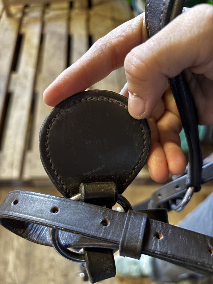 Selle & Accessori: Claridge House Vorderzeug – Usato da degersheim venduto da mutti1