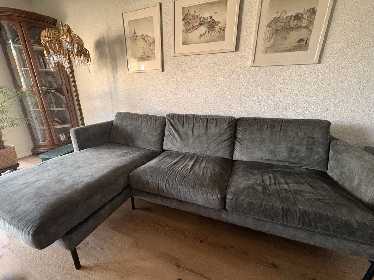 Livique Divani: Grünes Samt Sofa von Livique – Nuovo (secondo la descrizione) da Biel/Bienne venduto da Nat_lby2 2