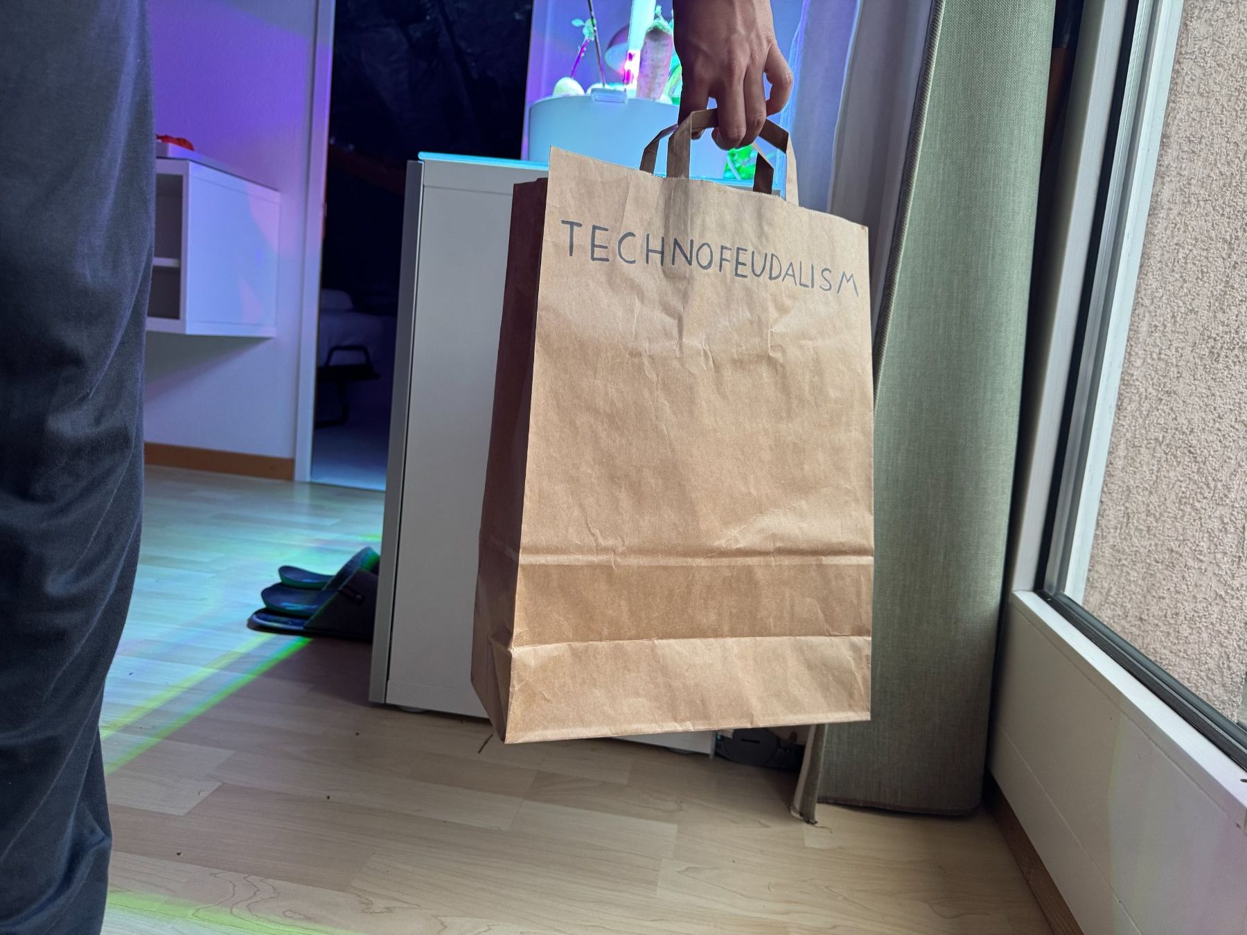 Sacs: Papiertüte "TECHNOFEUDALISM" – D'occasion à Schlieren par Edgar_k 4