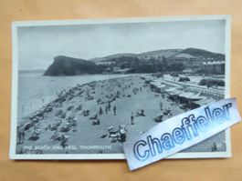 The Beach and Ness, Teignmount