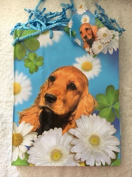 Carta: Geschenktüte Verpackung Tüte Hund Geschenk – Nuovo (secondo la descrizione) da Buchs SG venduto da Billikatze5