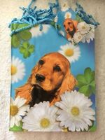 Geschenktüte Verpackung Tüte Hund Geschenk
