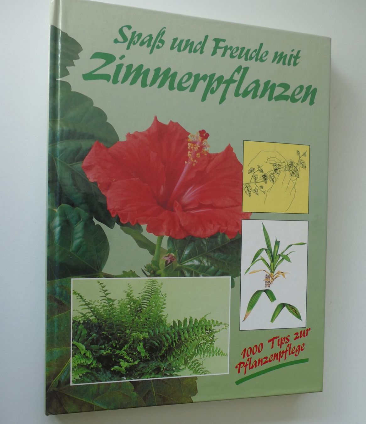 Libri: Buch – Usato da Dietlikon venduto da kes_j6d7