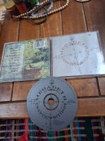 megadeth- cryptic writings