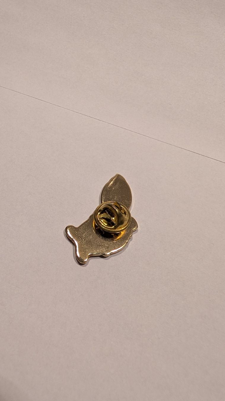 Placchette & Badge: Pin Limonina – Nuovo (secondo la descrizione) da Olten venduto da NicoOnline 1