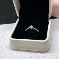 Moissanite Ring, Silber 0.5ct - Gr. 61 Zertifikat