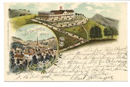 Gruss von der Scheidegg bei Wald (ZH) Hotel - Litho - 1900