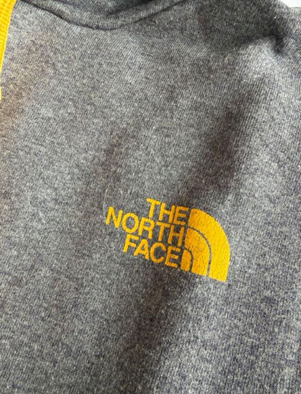 North Face Maglioni & Felpe: North Face Hoodie Gr S/M – Usato da Binz venduto da julijuli 2