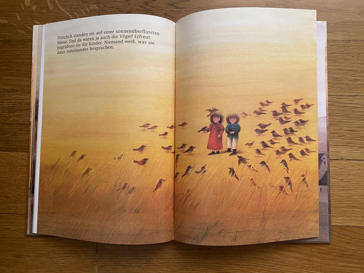 Libri: Die lange Reise, Bohem Press – Usato da Muttenz venduto da Bugijeta 4
