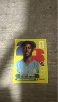 COD 20 , FIFA WORLD CUP 2026 PANINI 