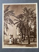 Original Vintage Poster - Paysage Du Sud