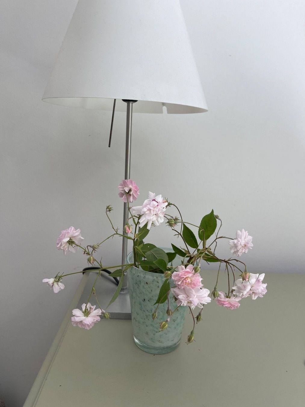 Vasi & Recipienti: Vase dickes Glas Hellgrün Salbei weiss – Usato da Nussbaumen AG venduto da HelenaDavid1910 2