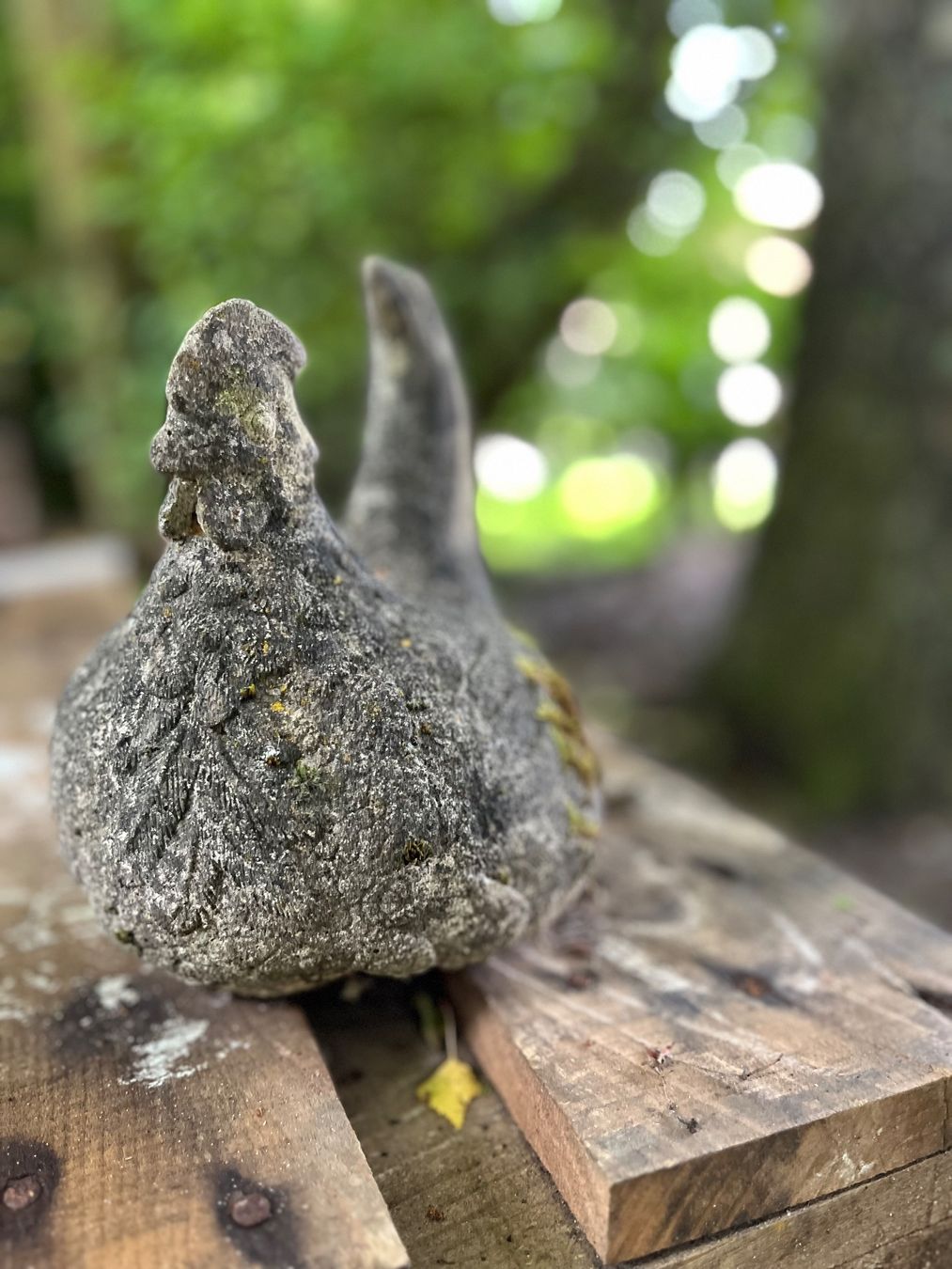 Statuette: Henne, Güggel, Figur, Garten-Dekoration – Usato da Oberentfelden venduto da Fabianbeboux 2
