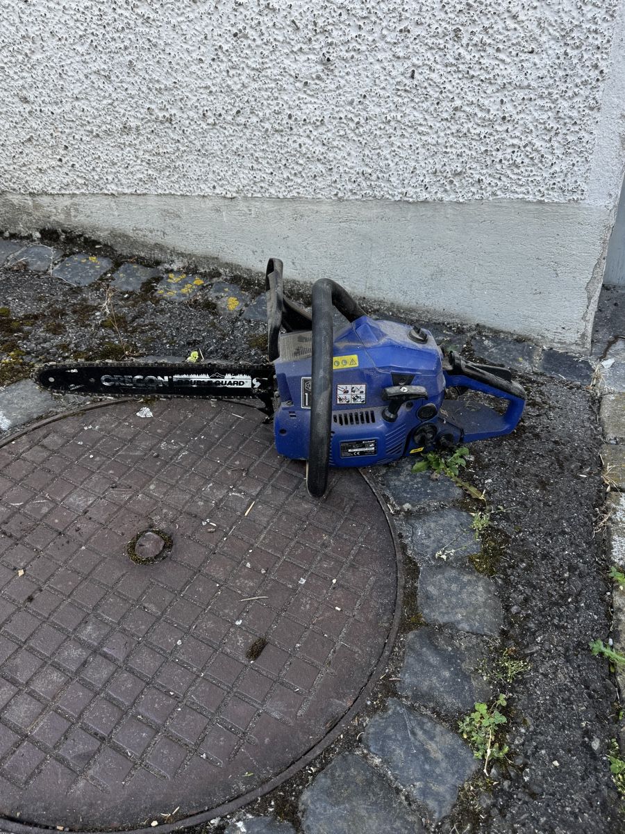 Einhell Seghe: Kettensaege Einhell BG-PC 1235 mit Oregon Schwert  – Usato da Schlieren venduto da Eldi84