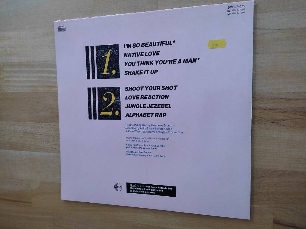Dischi in vinile: LP Vinyl, Divine, The story so far – Usato da Zielebach venduto da Teneristi 1